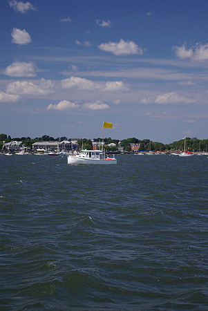 IMGP2879