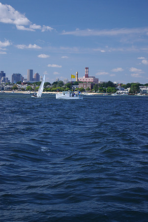 IMGP2884