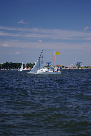 IMGP2889