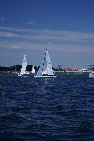 IMGP2890