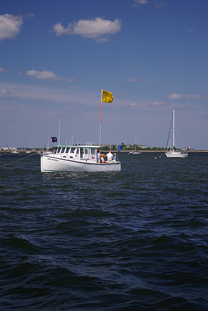 IMGP2891