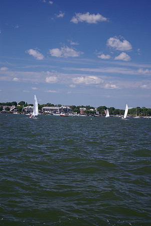 IMGP2893