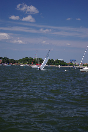 IMGP2896