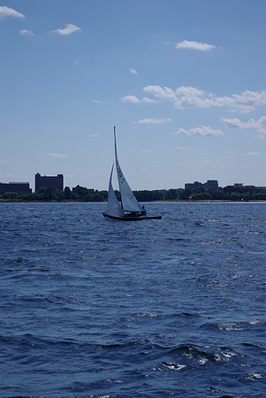IMGP2901