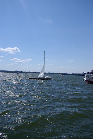 IMGP2916