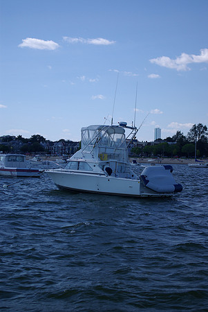 IMGP2919