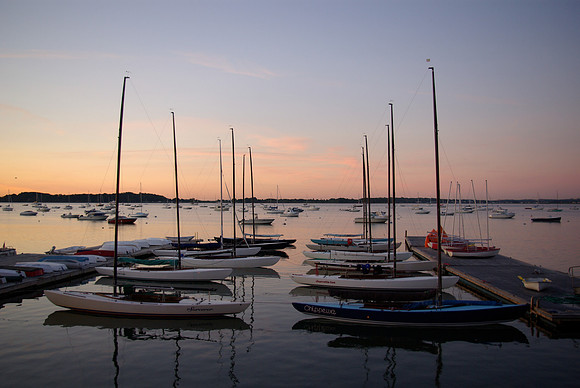 IMGP2956