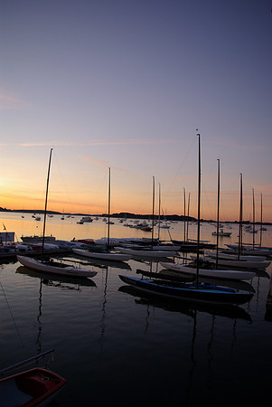 IMGP2957
