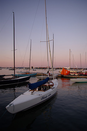 IMGP2972