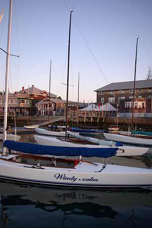 IMGP2977