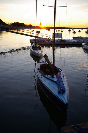 IMGP2979