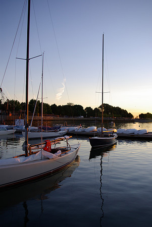 IMGP2987