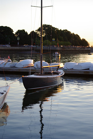 IMGP2988