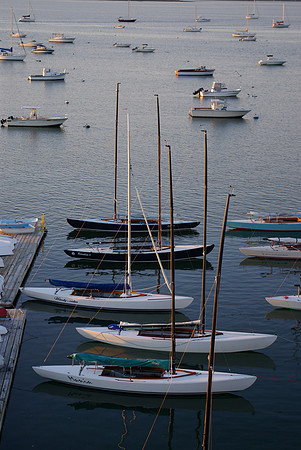 IMGP3014