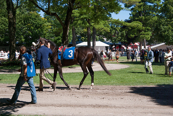 IMGP1259