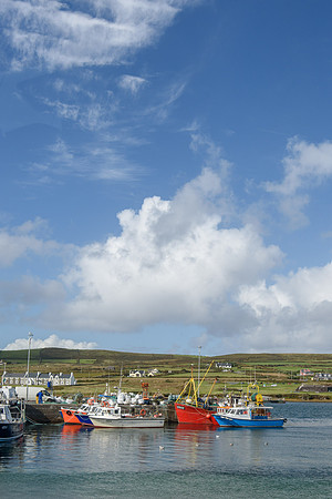 _DSC5096