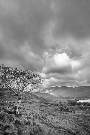 _DSC4829