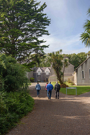 _DSC4931