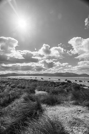 _DSC5477