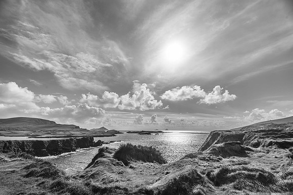 _DSC5109