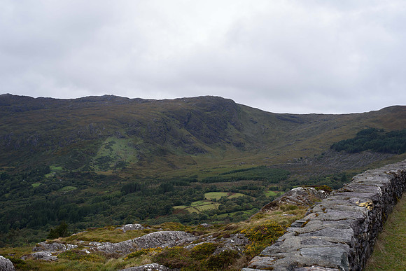 _DSC5384