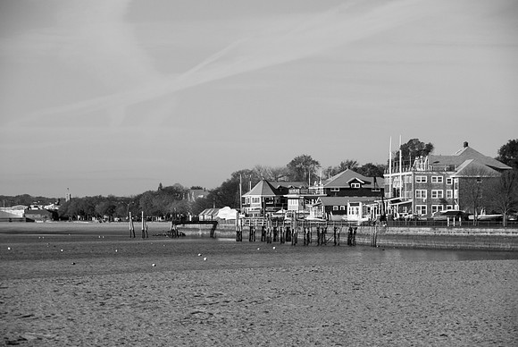 IMGP9516