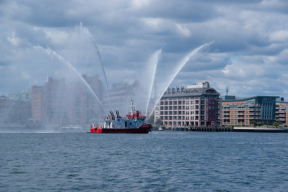 IMGP7401
