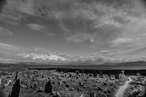_DSC5007