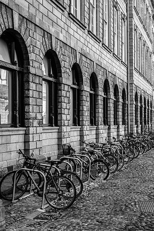 _DSC4347