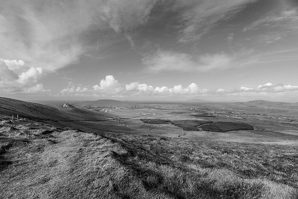 _DSC5083