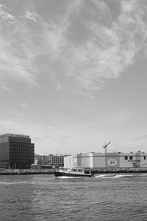 _DSC2866