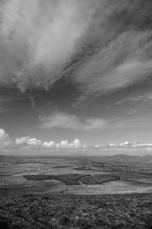 _DSC5087