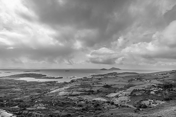 _DSC4949
