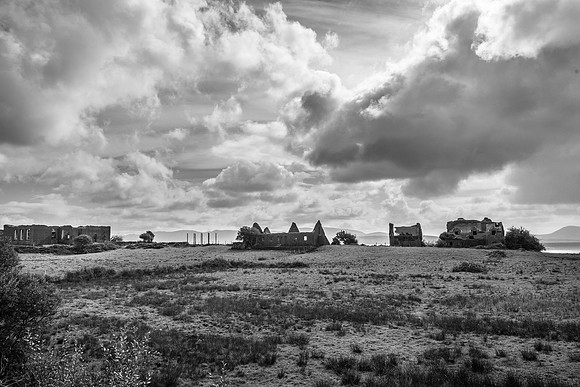 _DSC4913