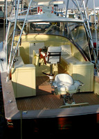 Coastal New England - Nantucket